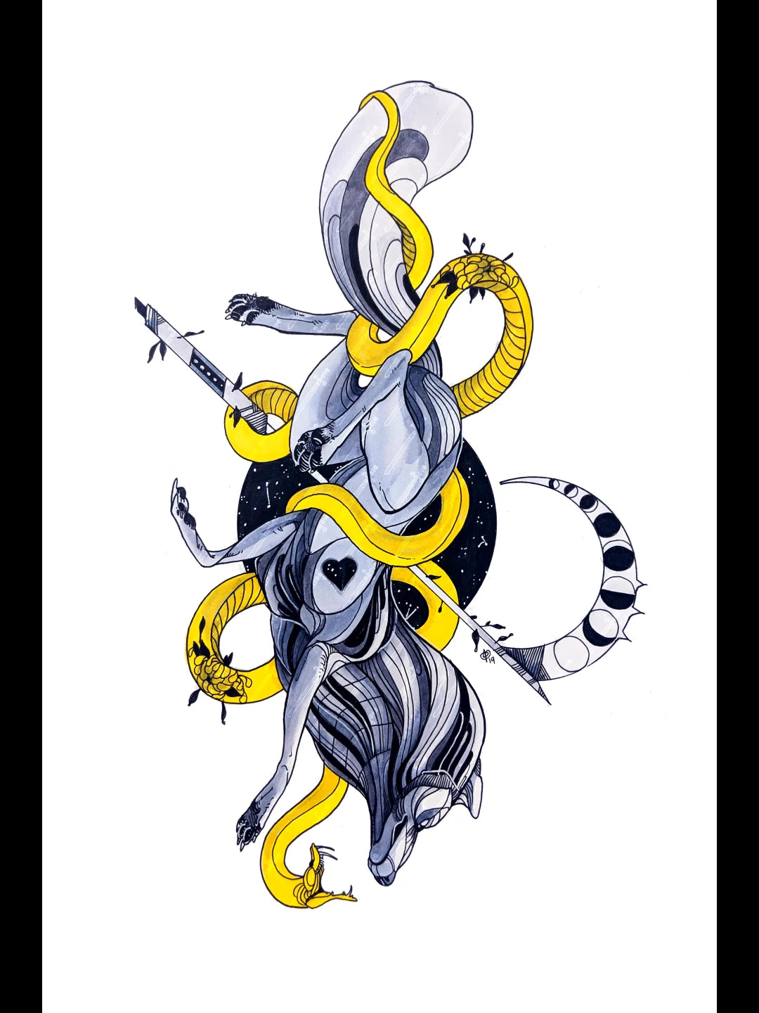 The Coil