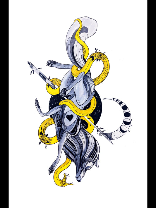 The Coil